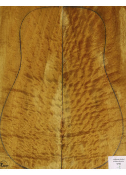 Juego Dorado Quilted Guitarra Acústica MB Exclusive Nº26 Comprar
