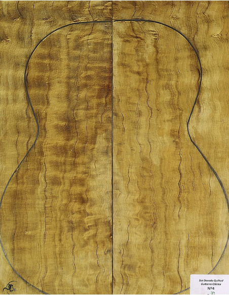 Jeu Palo Santo Madagascar Nº 268 Classique/Acoustique
