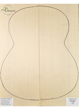European Spruce Classical Guitar Top MB Exclusive Nº 000061
