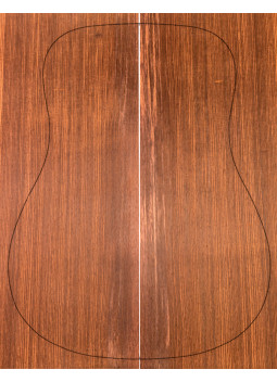 AA Fonds Palissandre de Madagascar Guitare Acoustique
