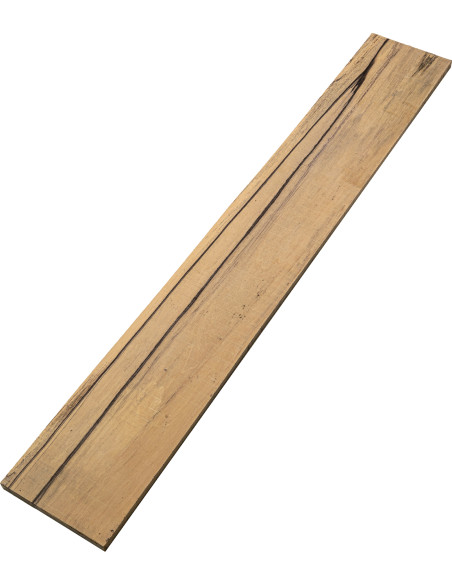 A Pale Moon Ebony Fingerboard 6 String Electric Bass | Maderas Barber