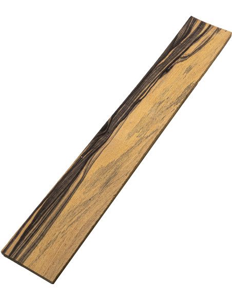 A Pale Moon Ebony Fingerboard Electric Guitar | Maderas Barber