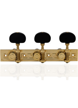 Mécanique Aparicio Guitare Classique Modèle Córdoba Or 24K/Ébène