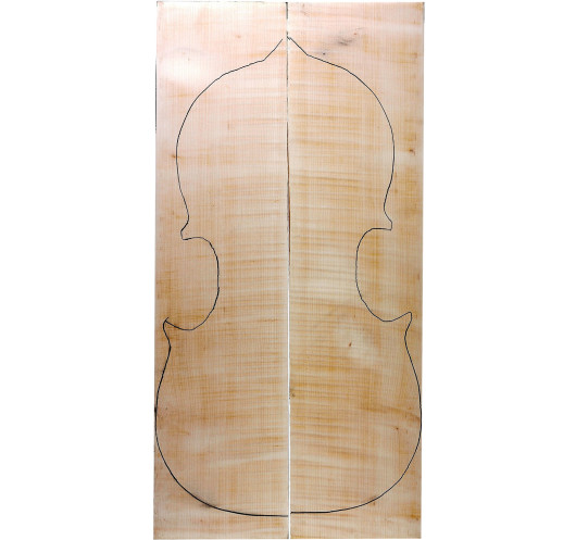 AAA Curly Maple Cello Backs | Maderas Barber