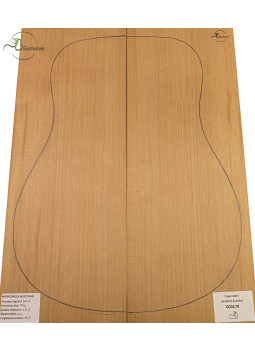 Red Cedar Acoustic Guitar Top MB Exclusive Nº 000170