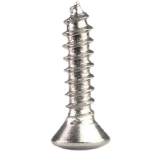20 Vis pour plaque de protection en Nickel Vieilli AllPacks Standart