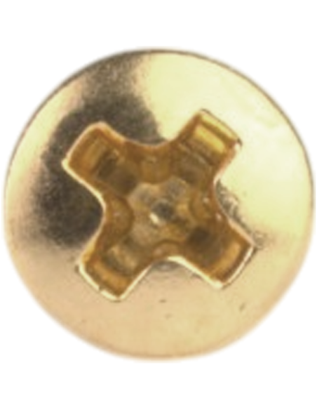Allparts Pack of 20 Gold Standard Pickguard Screws