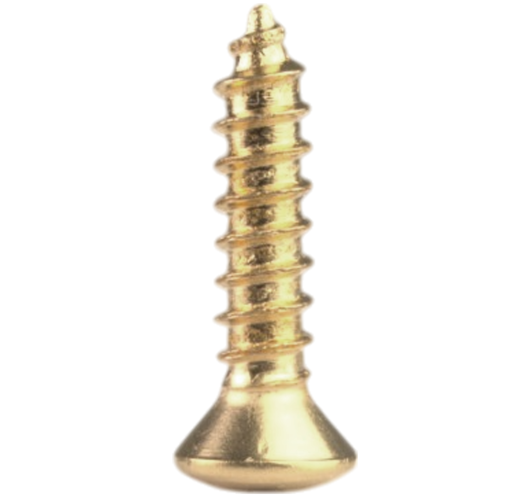 20 Vis doré pour plaque de protection standard AllParts.