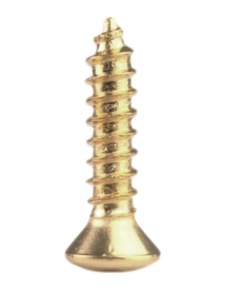 Allparts Pack of 20 Gold Standard Pickguard Screws