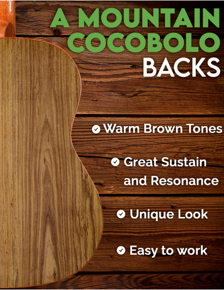 A Mountain Cocobolo Acoustic Guitar Backs | Maderas Barber