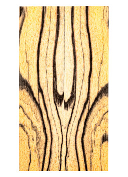 General Description Pale Moon Ebony Acoustic / Classical Guitar Symmetrical Headplate