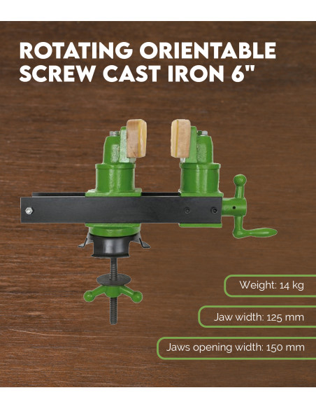 Buy Rotating Orientable Screw Cast Iron 6"