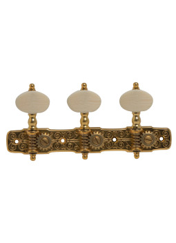 Gotoh 35ARB510P-P