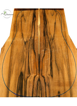 Exotic Ebony Set Nº21G Acoustic Guitar MB Exclusive | Maderas Barber