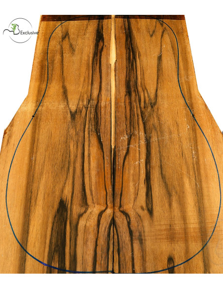 Exotic Ebony Set Nº21G Acoustic Guitar MB Exclusive | Maderas Barber