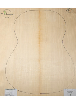 Alpine Spruce Classical Guitar Top MB Exclusive Nº 000080