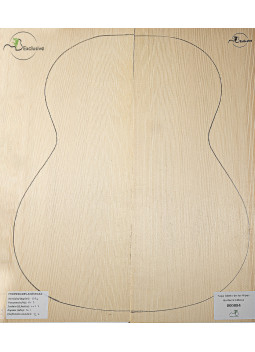 Alpine Spruce Classical Guitar Top MB Exclusive Nº 000084
