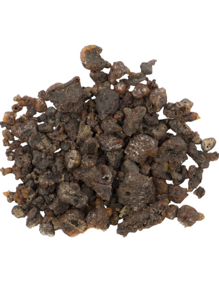 Goma Laca Cruda en Trozos 100 g | Maderas Barber