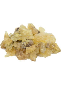 Résine de Copal de Manille 100 g | Maderas Barber