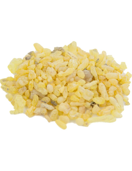 Sandarac Resin 100 g | Maderas Barber