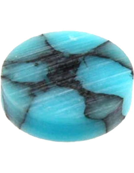 All parts Turquoise Stone Inlay Dots, 12 pcs
