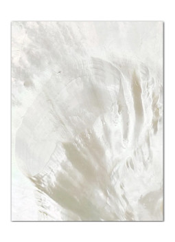 Mother of pearl guitar inlays