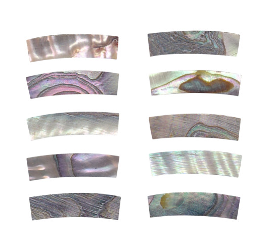 Buy Abalone Rosette Decoration DM-RST258