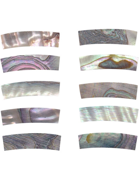 Pieza Abalone para Boca GOTOH DM-RST258 20x5x4,5 mm.