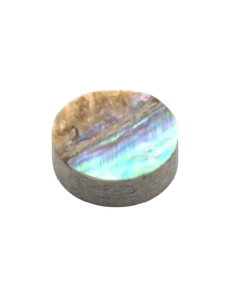 Repère de position en Abalone 6x2.0mm