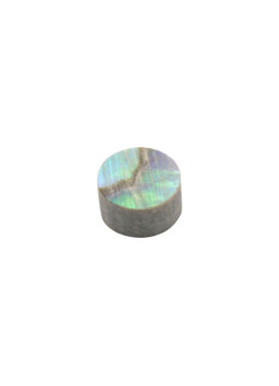 Abalone Marker Position 4x2.0mm