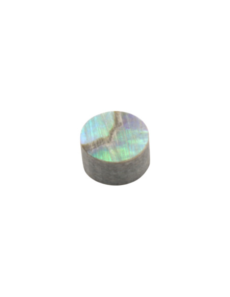 Repère de position en Abalone 4x2.0mm