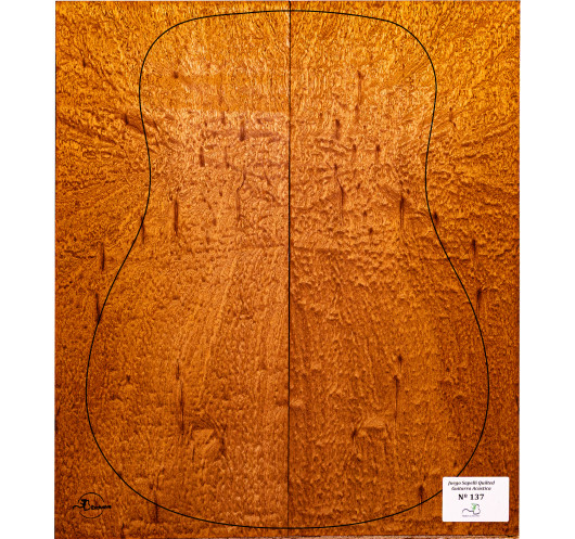 Jeu Guitare Acoustique Sapelli Quilted MB Exclusive Nº137