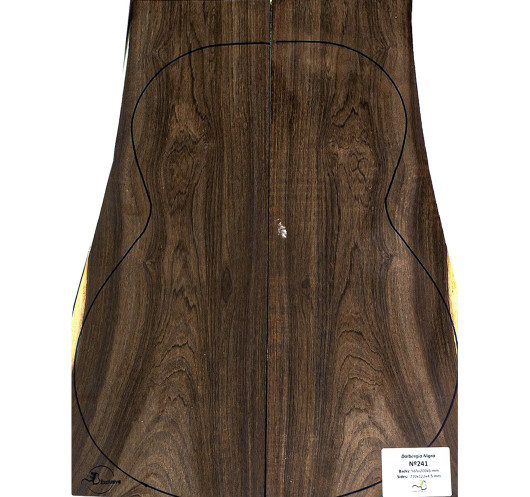 Jeu Palissandre de Rio Guitare Clasique MB Exclusive Nº 241