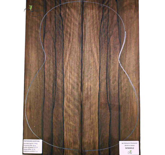 Master Jeu Malaysian Blackwood MB Exclusive Nº000012 Guitare Classique |Maderas Barber