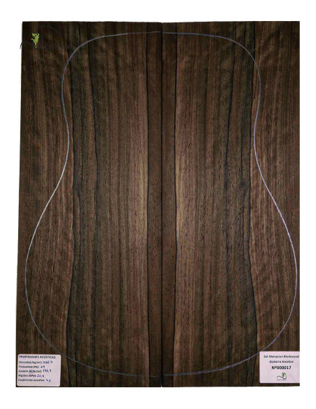 Malaysian Blackwood Set Acoustic Guitar MB Exclusive Nº181|Maderas Barber