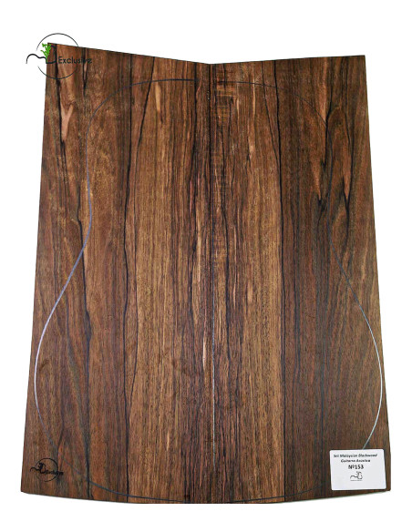 Malaysian Blackwood Set Nº153 Acoustic Guitar MB Exclusive | Unique Pcs
