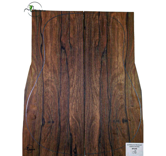 Comprar Juego Malaysian Blackwood Guitarra Acústica MB Exclusive Nº144