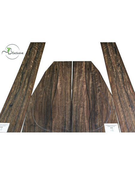 Malaysian Blackwood Set Nº8 Acoustic Guitar MB Exclusive | Unique Pcs