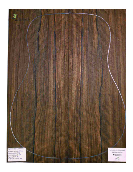 Jeu Malaysian Blackwood MB Exclusive Nº180 Guitare Acoustique|Maderas Barber