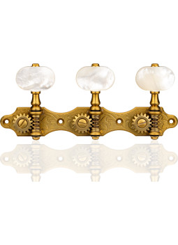 Mécanique Gotoh Guitare Classique MTG 35AR510QC/M-MTG