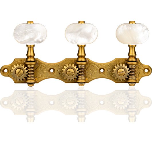 Clavijero Gotoh Guitarra Clásica MTG 35AR510QC/M-MTG