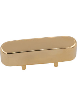 Cache Micro Style Telecaster Manche Doré
