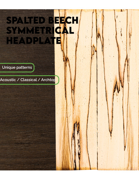Plaque de Tête Symétrique Hêtre Spalté Guitare Acoustique Classique Archtop | Maderas Barber