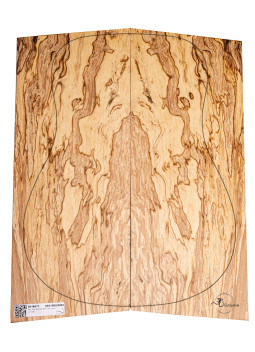 Jeu Hêtre Spalted Nº2 Guitare Acoustique MB Exclusive