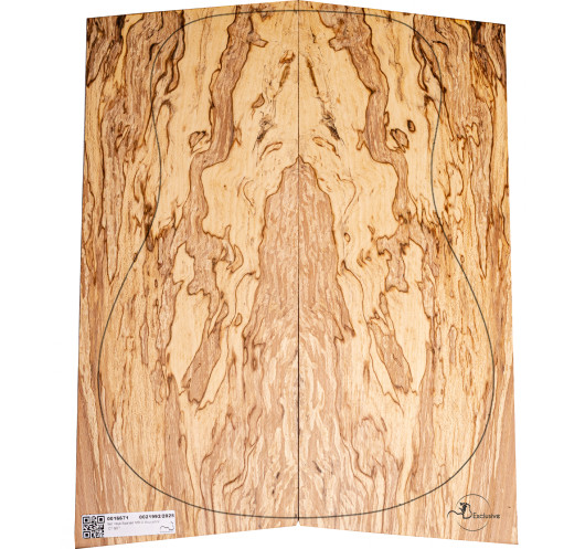 Spalted Beech Set Nº 2 Acoustic Guitar MB Exclusive