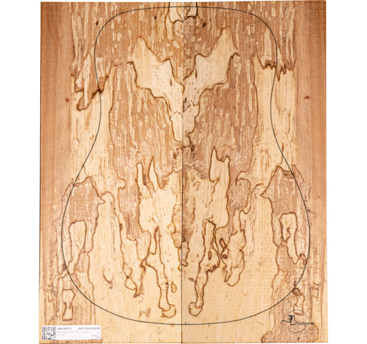 Jeu Hêtre Spalted Nº4 Guitare Acoustique MB Exclusive