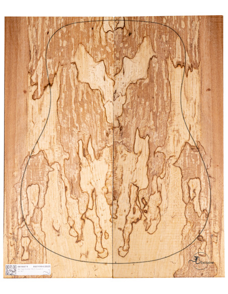 Spalted Beech Set Nº4 Acoustic Guitar MB Exclusive