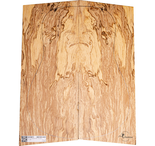 Spalted Beech Set Nº5 Acoustic Guitar MB Exclusive