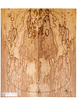 Hêtre Spalted Nº7 Guitare Acoustique MB Exclusive