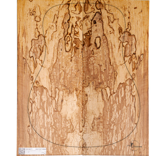 Juego Haya Spalted Guitarra Acústica MB Exclusive Nº7